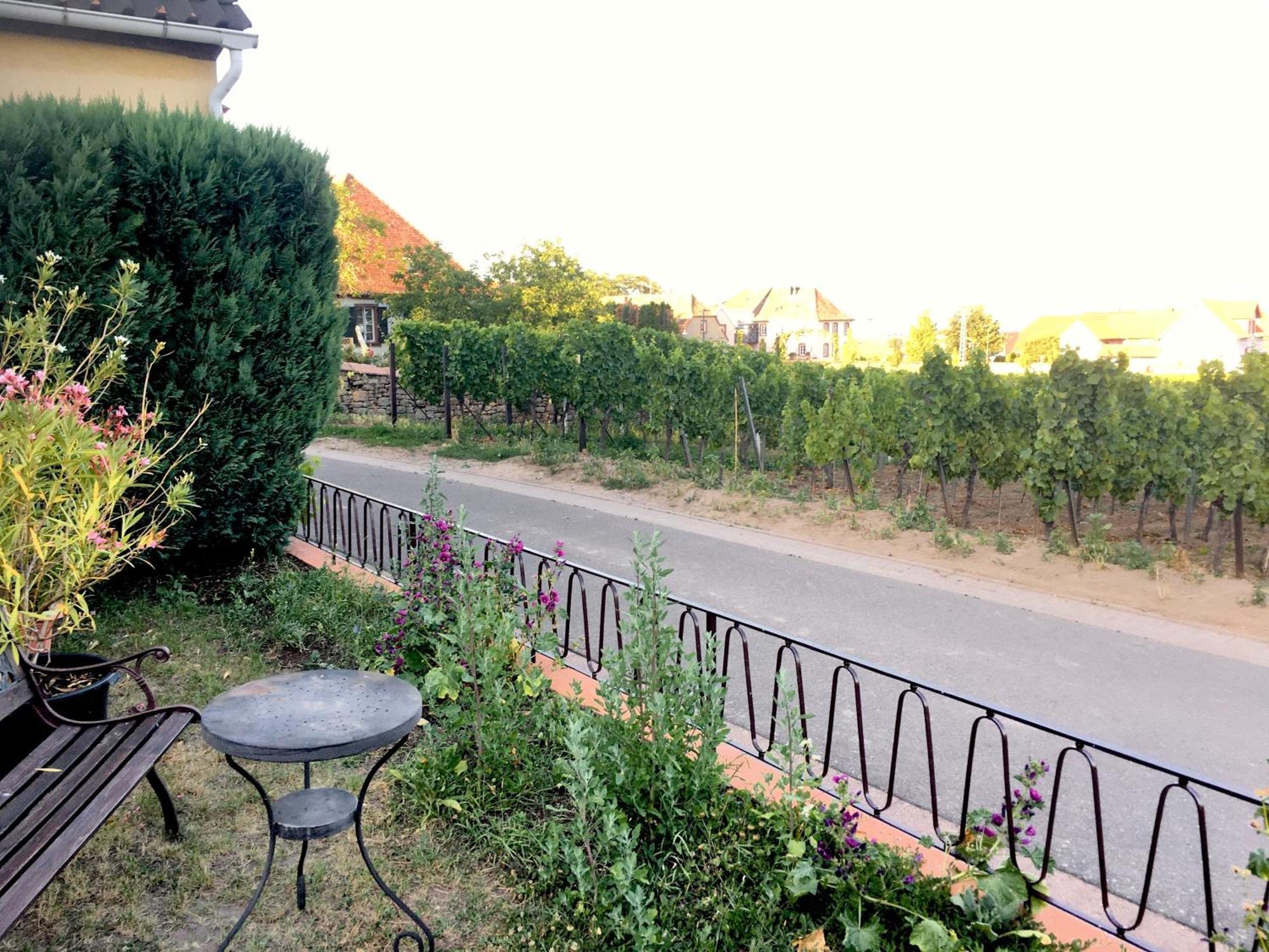 Ferienwohnung Suedpfalzblick Burrweiler Exteriér fotografie